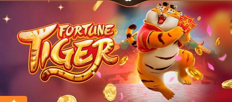aajili live casino section with professional dealers streaming in real time